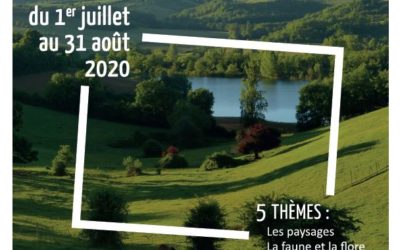 Résultats du concours-photo