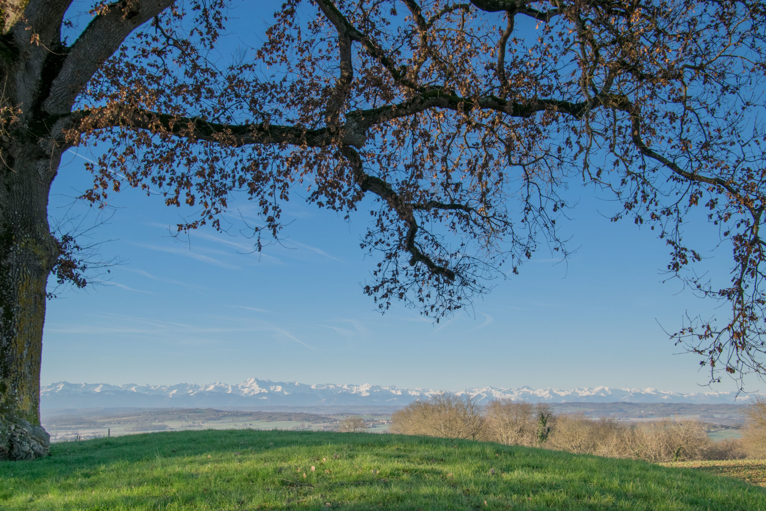13022019-pyrénées-vue-depuis-chapelle-st-elix-theux-5 13022019-pyrénées-vue-depuis-chapelle-st-elix-theux-5