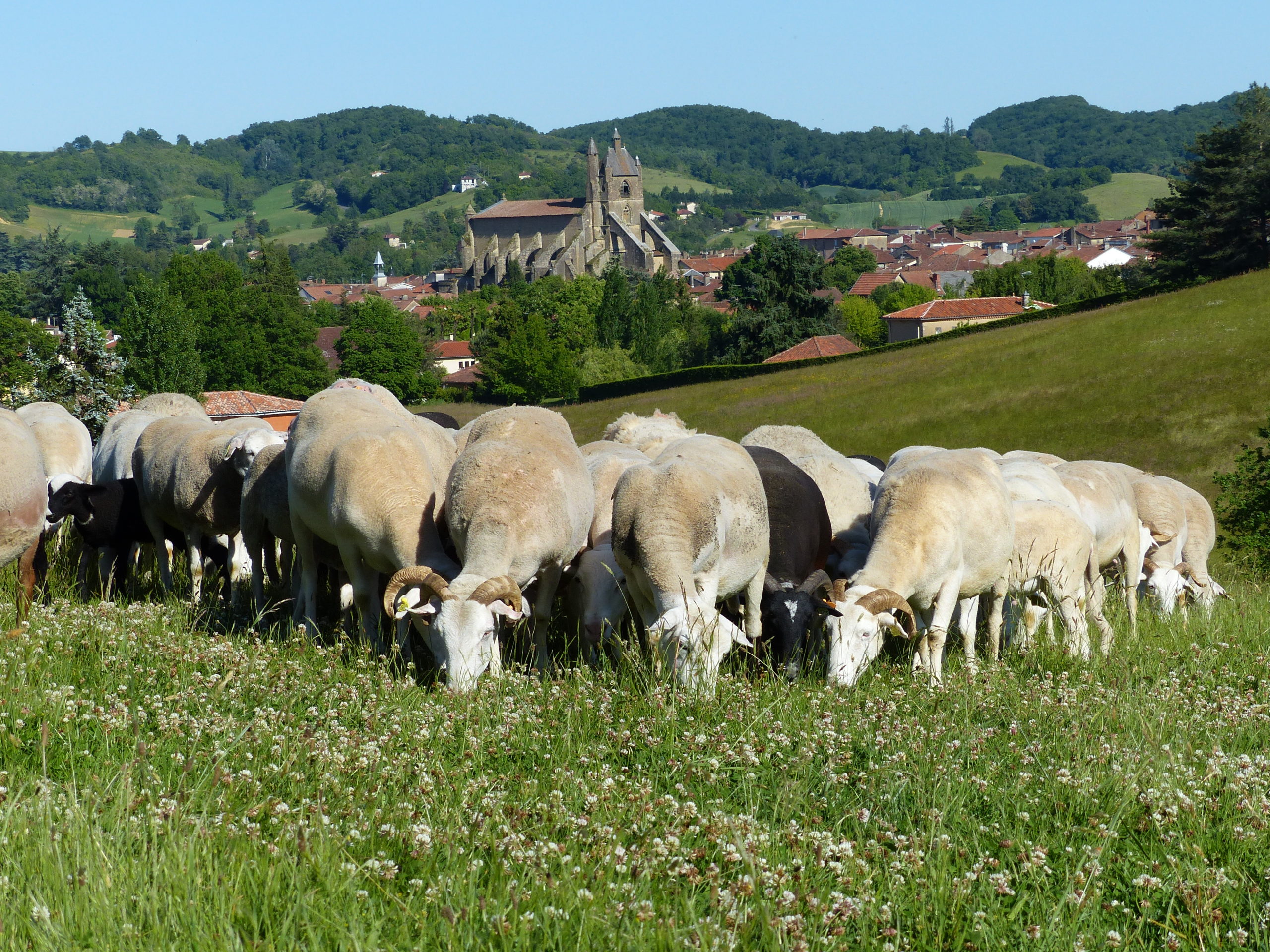 Concours-PNR-13-1 Concours-PNR-13-1