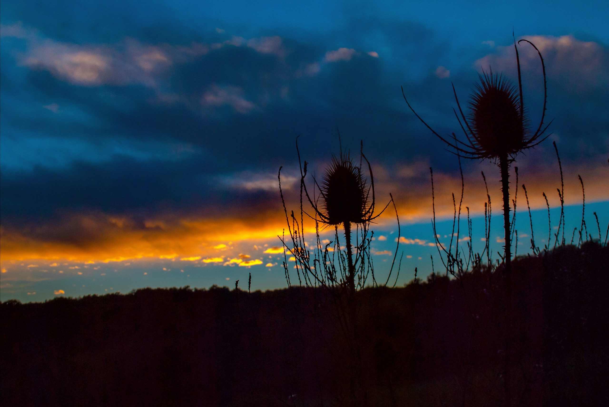 IMG_20200827_161934 IMG_20200827_161934