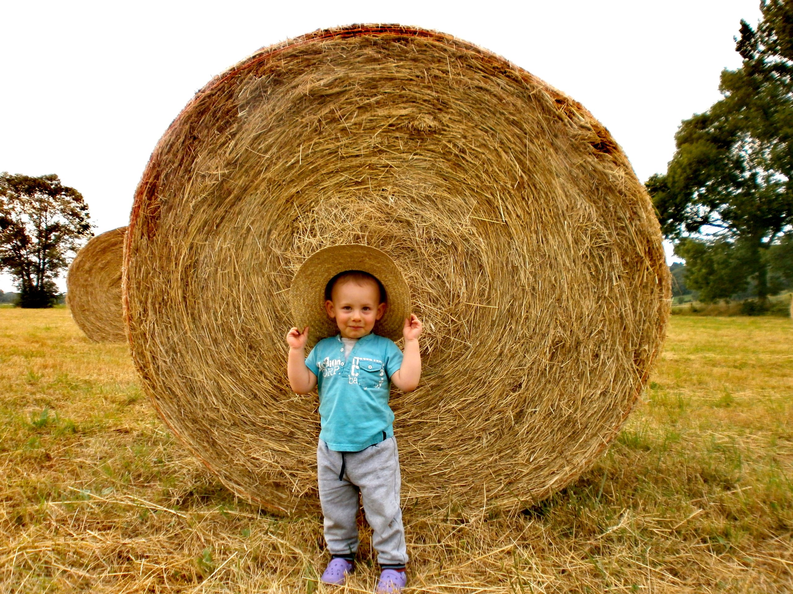 IMG_20200827_162420 IMG_20200827_162420