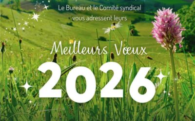 Bonne année 2026 !