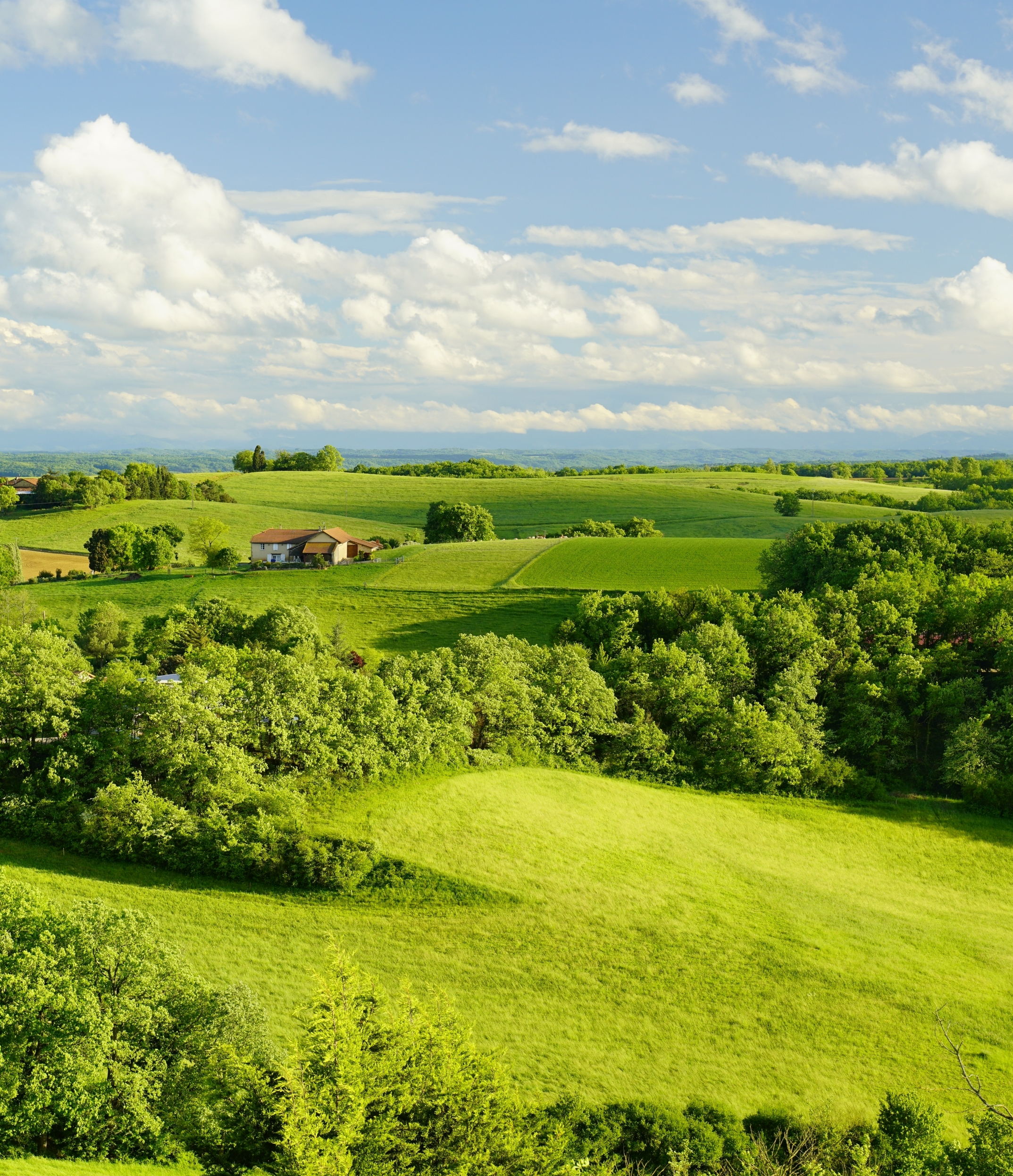 paysages-coteaux_ProjetPNR_crop Cyclotouristes avec vaches en Astarac_A-SPANI pour CDT32